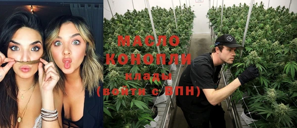 дживик Надым