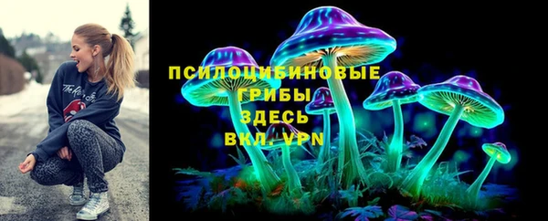 дурь Алексеевка