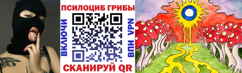 это наркотические препараты  цена наркотик  Карасук  Псилоцибиновые грибы Psilocybe  кракен  